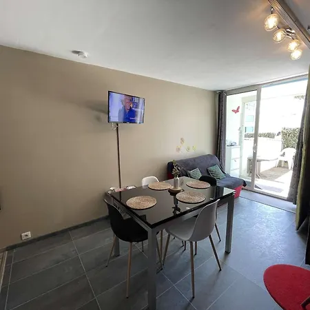 Daire Cosy Avec Terrasse, Parking Prive, A 300m De La - - Fr-1-224c-236